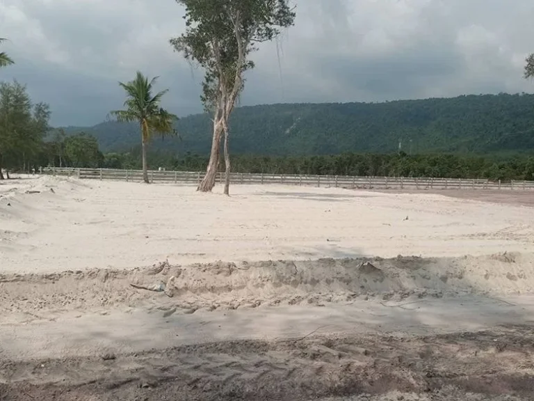 ขายที่ดินติดทะเล หาดไม้รูด อคลองใหญ่ จตราด รับนายหน้า