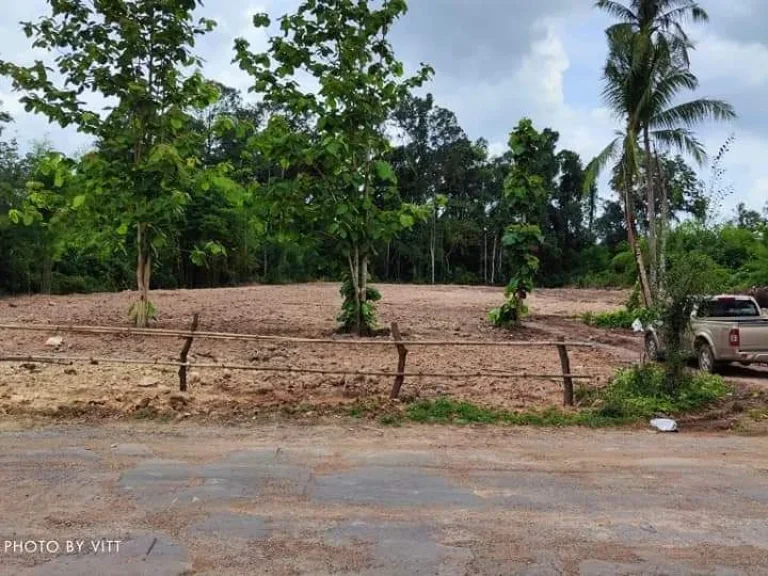 ขายที่ดินนนทรี 4 ไร่ ติดถนนลาดยางเข้าซอยเพียง150เมตรจากถนนสี