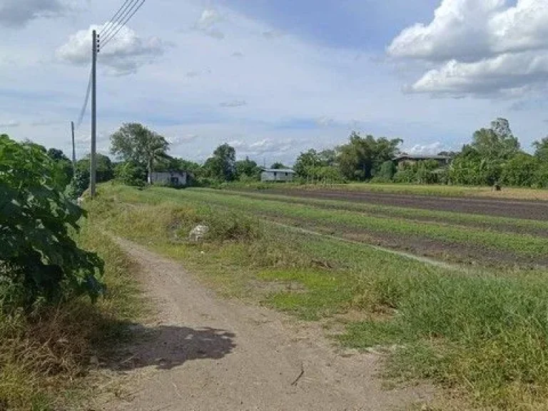 ที่ดิน ที่ดิน บางเดื่อ ใกล้ถนนราชพฤกษ์ ตัดใหม่ ปทุมธานี