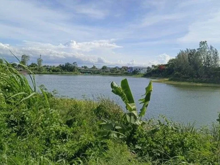 ที่ดิน ที่ดิน บางเดื่อ ใกล้ถนนราชพฤกษ์ ตัดใหม่ ปทุมธานี