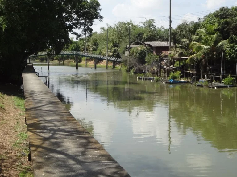 ที่ดินติดถนนใหญ่เลียบวารี-ราษฎร์อุทิศคู้ขวาหนองจอก พื้นที่