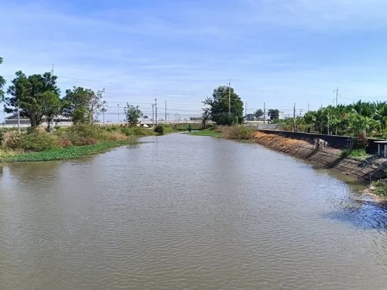 ขายที่ดินริมคลองบ้านสวนเสนา อเสนา จพระนครศรีอยุธยา เนื้อที่