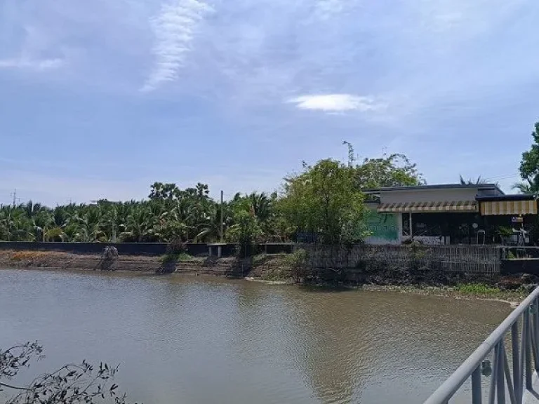 ขายที่ดินริมคลองบ้านสวนเสนา อเสนา จพระนครศรีอยุธยา เนื้อที่