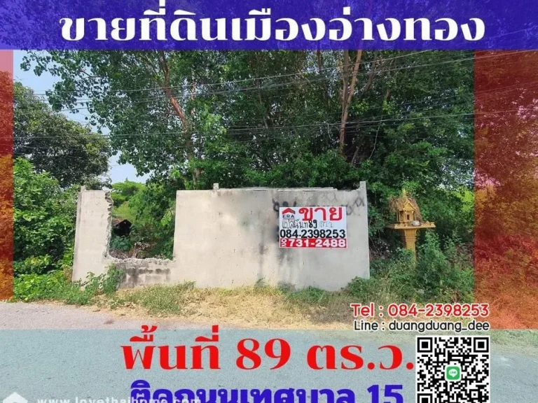 ขายที่ดิน ซอยเข้าวัดชัยมงคล ตบางแก้ว อเมืองอ่างทอง