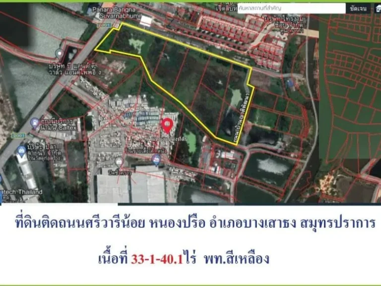 ขายที่ดินต่ำกว่าราคาตลาดที่ดินผังสีเหลืองถนนศรีวารีเหมาะทำโฮ