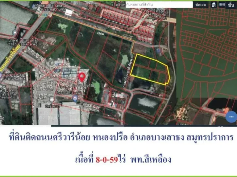 ขายที่ดินต่ำกว่าราคาตลาดที่ดินผังสีเหลืองถนนศรีวารีเหมาะทำโฮ