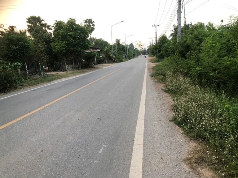 ขายที่ดิน 370 ตรว ติดถนนดำ อำเภอวัดโบสถ์ พิษณุโลก