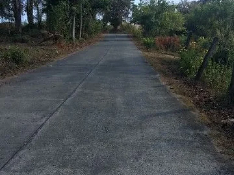 ขายที่ดินสวนมะพร้าวบนเนินเขา ใกล้หาดหน้าทอน เกาะสมุย