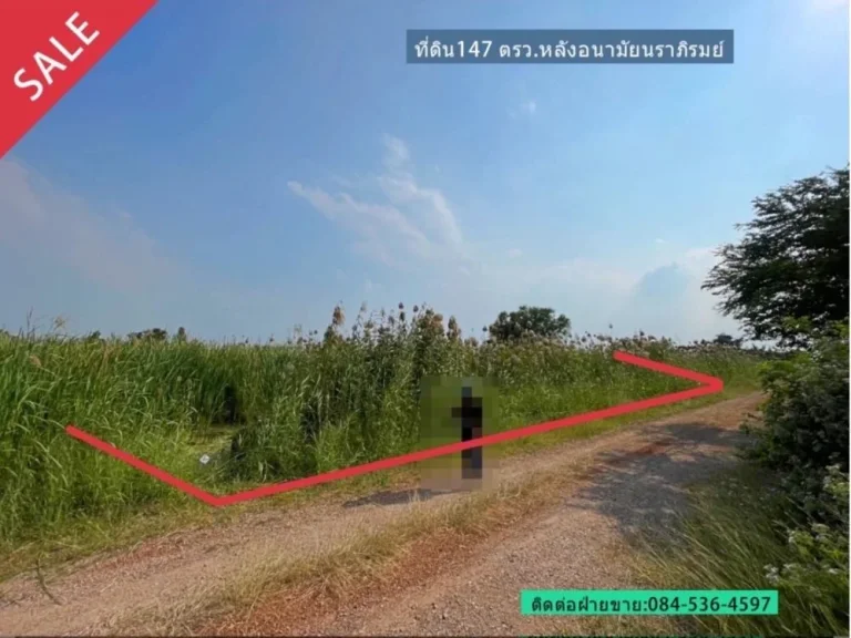 ที่ดินเปล่า 147 ตรว หลังอนามัยนราภิรมย์ บางเลน ที่ดินจัดสรร