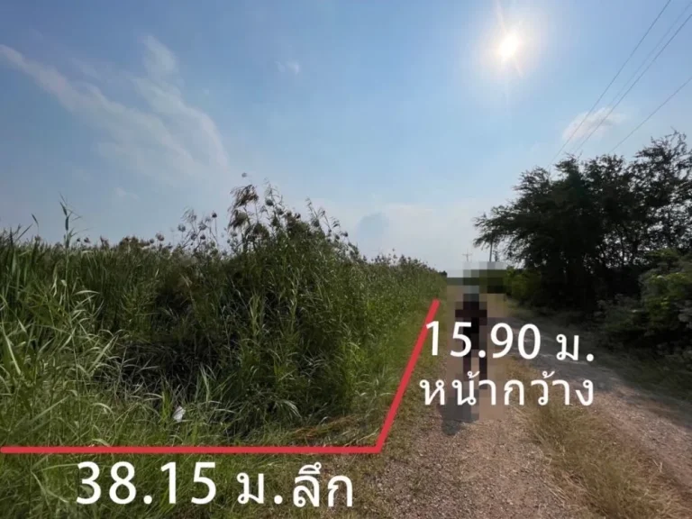 ที่ดินเปล่า 147 ตรว หลังอนามัยนราภิรมย์ บางเลน ที่ดินจัดสรร