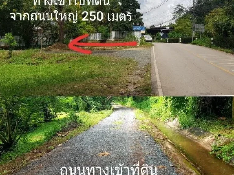 ขายที่นาสวนผสม ใกล้ อบตห้วยแก้ว 450 เมตร