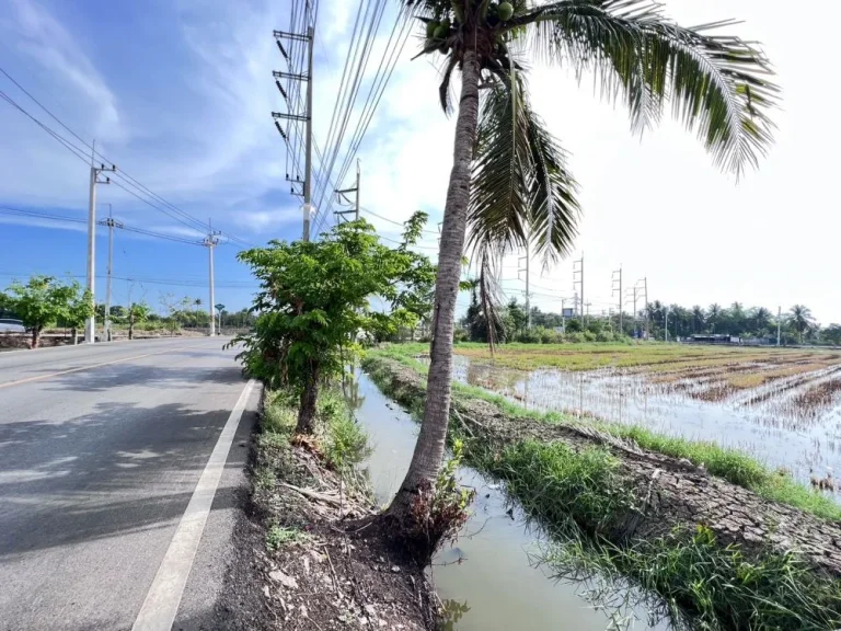 ขายที่ดิน ขนาด 11 ไร่ 90 ตรว ติดถนน 3 ด้าน ผังเมืองสีชมพู