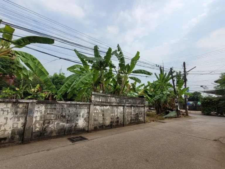 ให้เช่าที่ดินเปล่า อำเภอเมือง อุดรธานี ถนนประชาสันติ