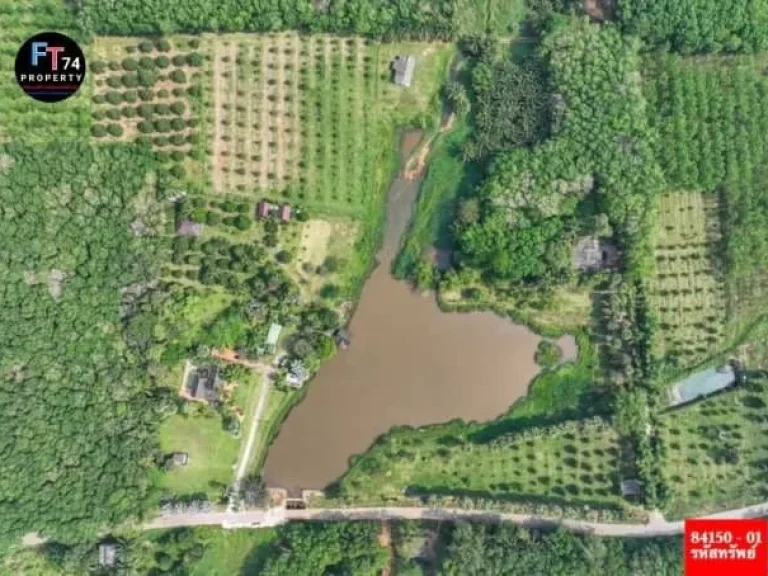 ขายรีสอร์ท พร้อมสวนทุเรียน อำเภอท่าฉาง จังหวัดสุราษฎร์ธานี