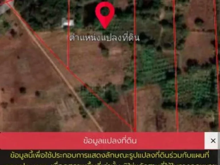 ขายถูกมาก ที่ดิน 10 ไร่ อเมือง จชัยภูมิ ทำเลทอง