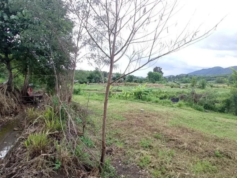 ขายที่ดินโฉนด อปาย จแม่ฮ่องสอน ติดลำห้วย วิวทุ่งนา ภูเขา