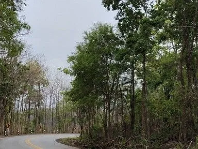 ขายที่ดินโฉนดครุฑแดงบนเนินเขา และติดอุทยานแห่งชาติ