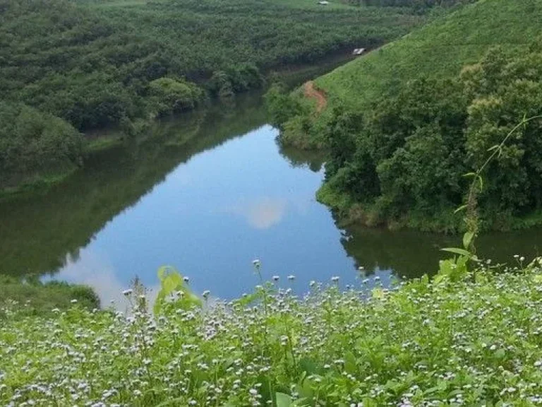 ขายที่ดินโฉนดครุฑแดงบนเนินเขา และติดอุทยานแห่งชาติ