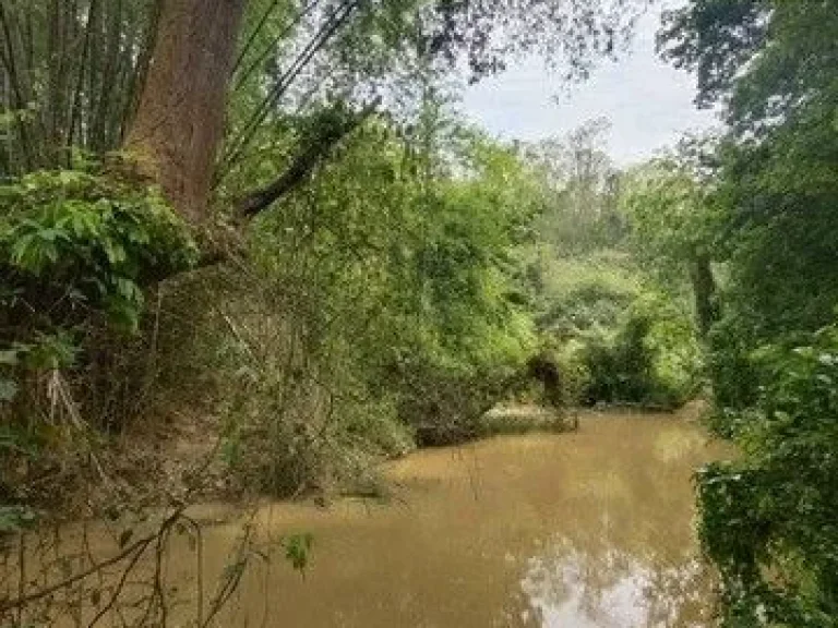 ขายที่ดินโฉนดครุฑแดงบนเนินเขา และติดอุทยานแห่งชาติ