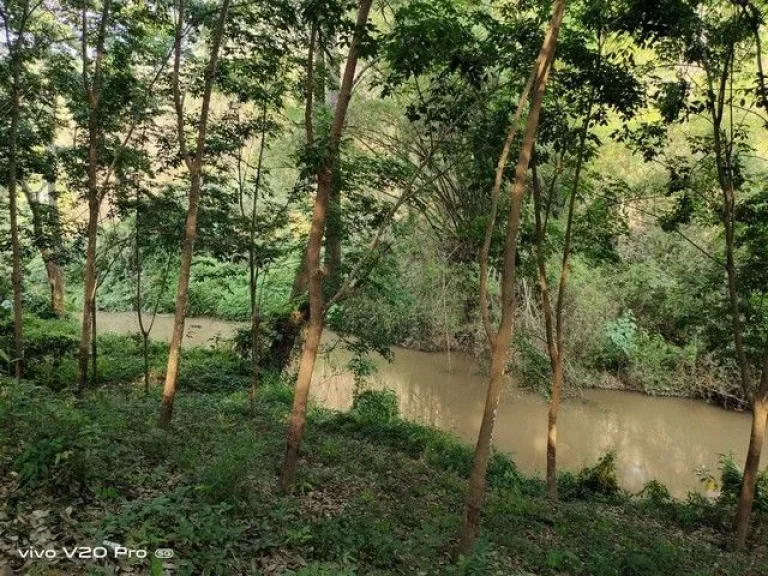 ขายที่ดินโฉนดครุฑแดงบนเนินเขา และติดอุทยานแห่งชาติ