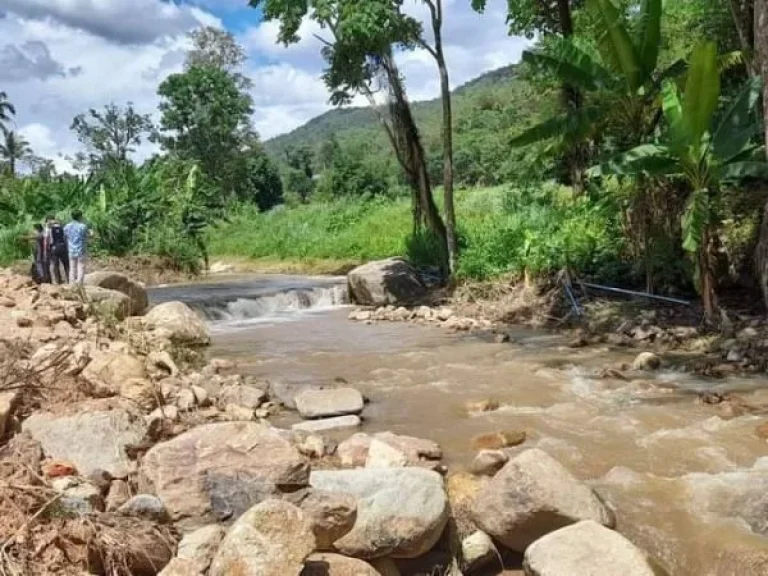 ขายที่ดินติดลำธารน้ำ ห่างถนนหลักเพียง 50เมตร พร้อมโอน