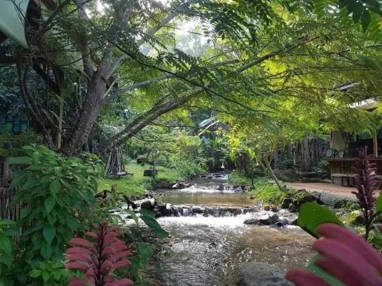 ขายบ้านพักตากอากาศติดลำธารน้ำดอยสะเก็ตพร้อมโอน