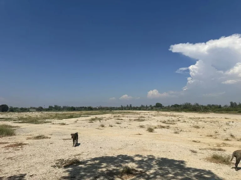 ที่ดินเปล่า ถ ปานวิถี ตำบล คลองด่าน อำเภอบางบ่อ สมุทรปราการ