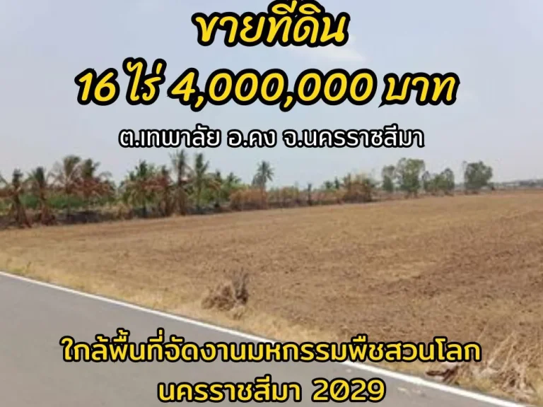 ขายที่ดินสวย อคง 16 ไร่ 4 ล้าน เจ้าของไม่รีบ