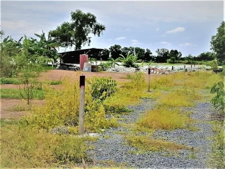 ขายที่ดินถมแล้ว วิวด้านหลังแปลงติดน้ำและวิวนา บรรยากาศดี