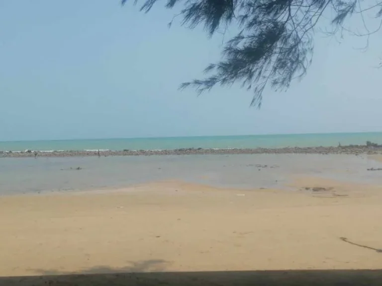 ขายที่ดินวิวทะเล มีถนนคั่น หาดพยูน บ้านฉางระยอง 7 ไร่ 88 ตรว