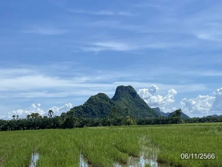 ขายที่ดินทุ่งนา วิวเขา ตชัยบุรี อเมืองพัทลุง จพัทลุง