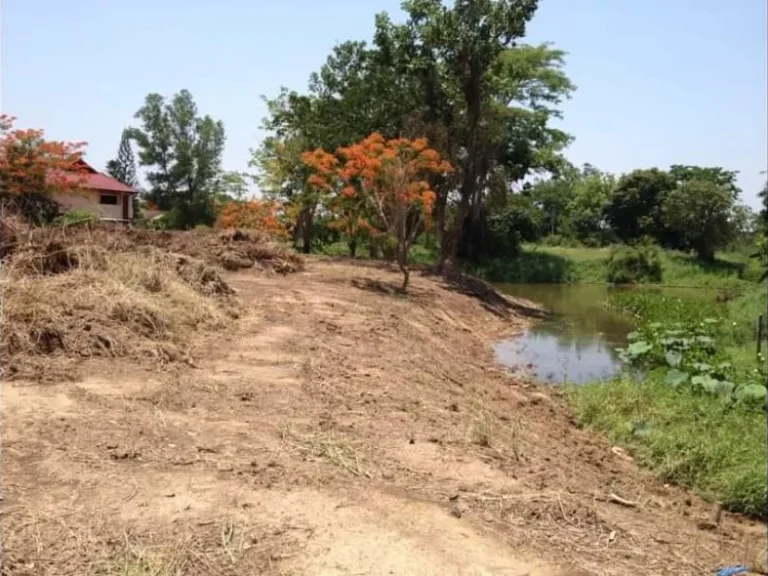 ขายที่ดินในหมู่บ้านเวียงพิงค์วิลล่าตลาดขวัญดอยสะเก็ตพร้อมโอน