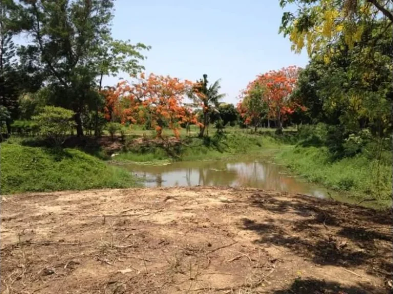 ขายที่ดินในหมู่บ้านเวียงพิงค์วิลล่าตลาดขวัญดอยสะเก็ตพร้อมโอน