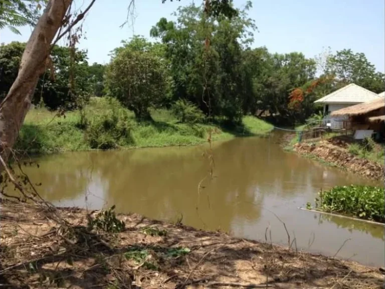 ขายที่ดินในหมู่บ้านเวียงพิงค์วิลล่าตลาดขวัญดอยสะเก็ตพร้อมโอน