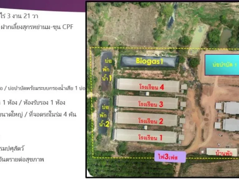 ขายฟาร์มหมู 6 โรงเรือน 37 ล้าน ขนาด 26 ไร่ 3 งาน 21 วา