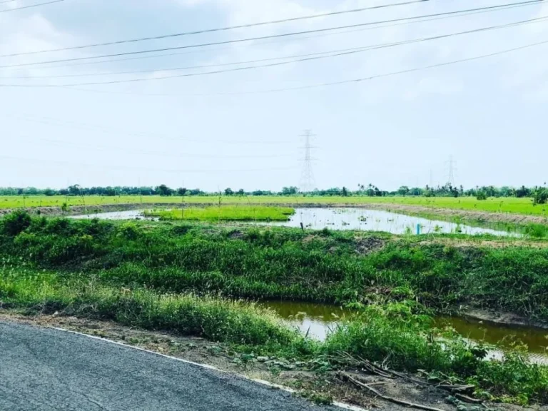 ขายที่ดินหนองจอก ถนนมิตรไมตรี 4ไร่ 76ตรว ที่สวยติดคลอง