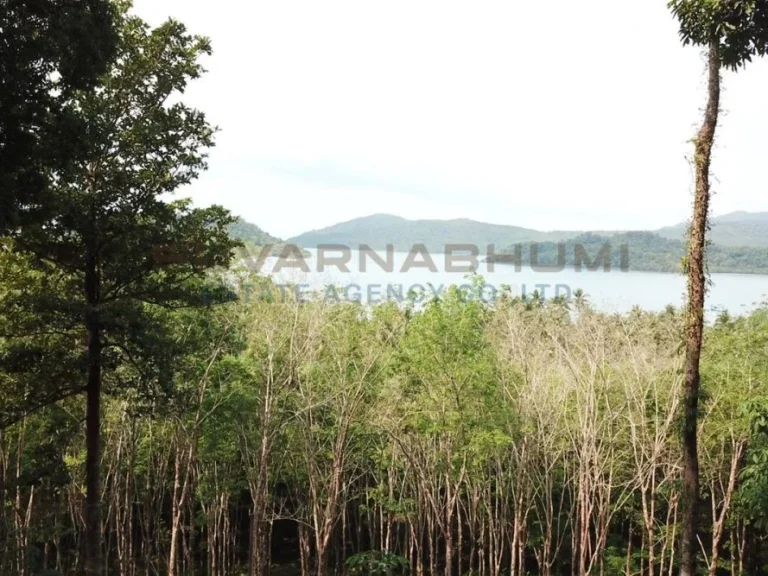 ที่ดิน บ้านเจ๊กแบ้ เกาะช้าง ตราด Land on Ban Chek Bae Koh