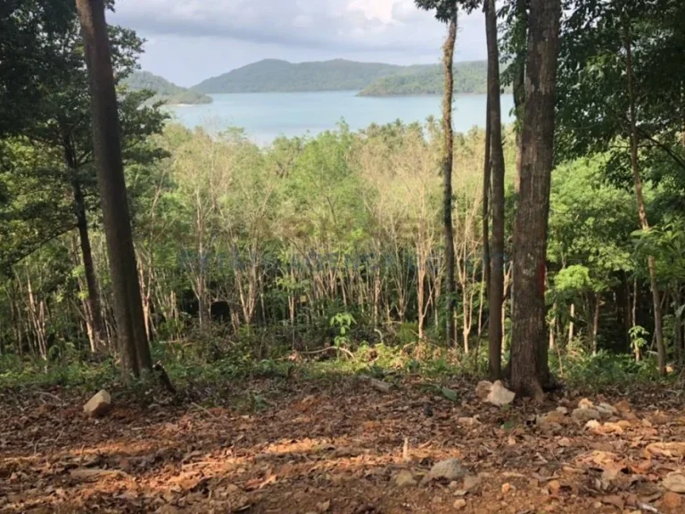 ที่ดิน บ้านเจ๊กแบ้ เกาะช้าง ตราด Land on Ban Chek Bae Koh