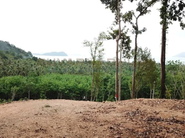 ที่ดิน บ้านเจ๊กแบ้ เกาะช้าง ตราด Land on Ban Chek Bae Koh