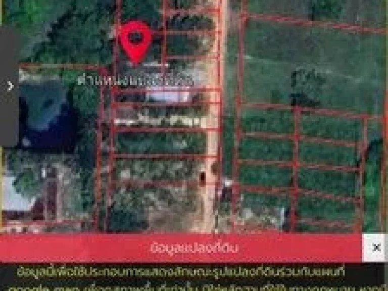 ขายที่ดินแถวเกาะหมี ตำบลคลองแห อำเภอหาดใหญ่ จังหวัดสงขลา