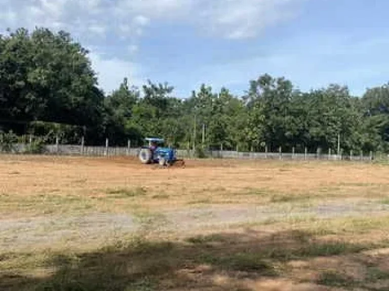 ขายที่ดิน ทำเลดี ติดถนนใหญ่ อำเภอประจันตคาม จังหวัดปราจีนบุรี