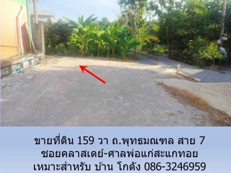 ขายที่ดิน 159 วา ถพุทธมณฑล สาย 7 ซอยคลาสเดย์-ศาลพ่อแก่สะแกท