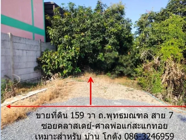 ขายที่ดิน 159 วา ถพุทธมณฑล สาย 7 ซอยคลาสเดย์-ศาลพ่อแก่สะแกท