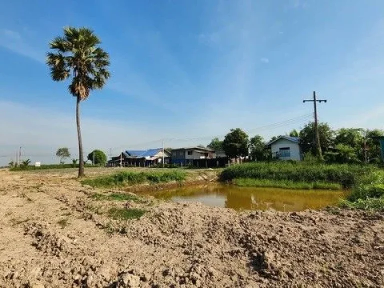 ขายที่ดินติดถนนลาดยาง คลอง 15 องค์รักษ์ 2 ไร่ ข้างหลังติดคลอง