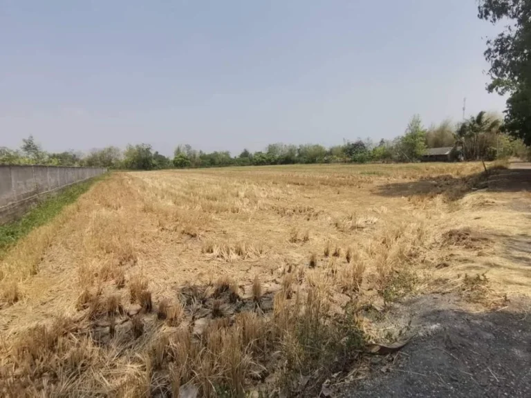 ขายที่ดินตำบลศรีบัวบานผังเมืองสีม่วงจังหวัดลำพูนพร้อมโอน