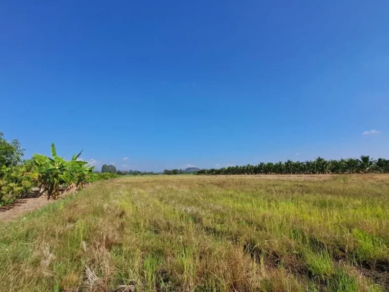 ขายไร่นาสวนผสม ติดถนนลาดยางติดคลอง ใกล้เซเว่นบ้านป่ารกฟ้า