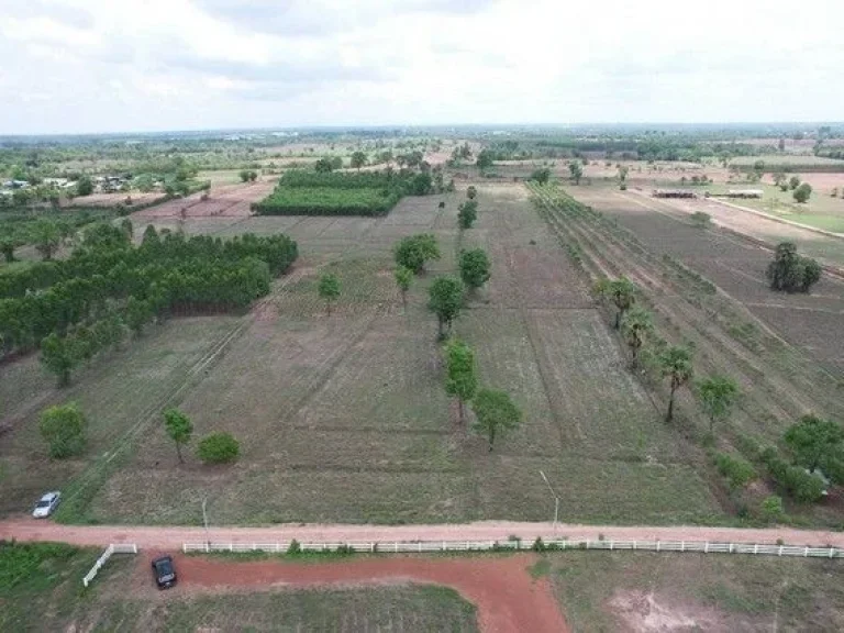 ลดแรงที่ดินนนทรีวิวเขาสวยบรรยากาศดีจากราคาเหมา15ล้านเหลือเพ