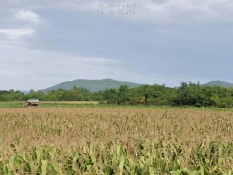 ขายที่ดิน 1ไร่ เห็นวิวเขาสวย เหมาะทำการเกษตร อำเภอพยุหะคีรี