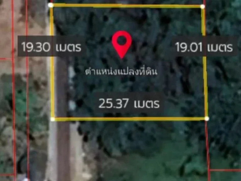 ขายที่ดินเปล่า ใกล้ถนนเลียบคลอง 9 ตลำผักกูด อธัญญบุรี