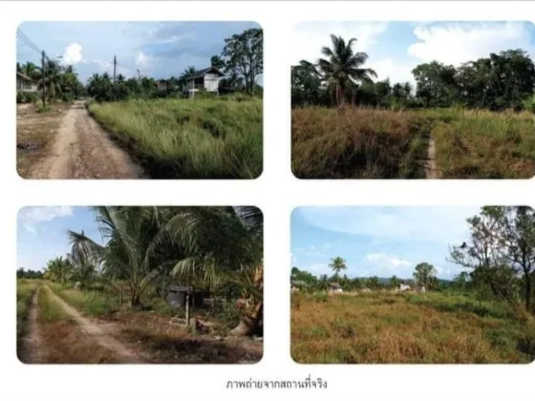 ขายที่ดินทำเลดี ใกล้หาดบางสัก เขาหลัก ตบางม่วง อตะกั่วป่า